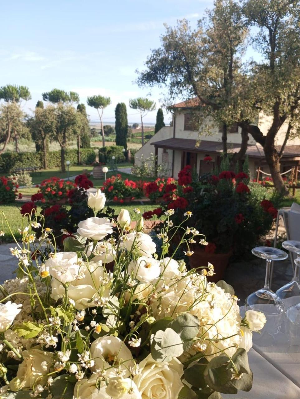 Agriturismo La Luciana Castiglione della Pescaia Extérieur photo
